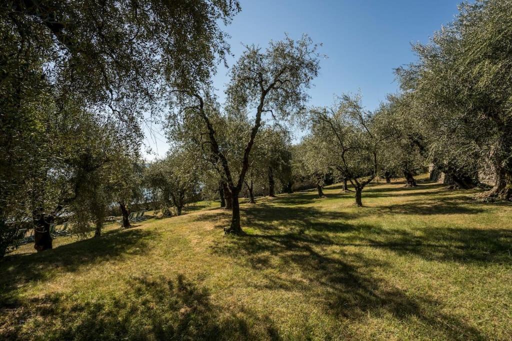 Oleandro Apartment Directly On The Lake Gargnano Esterno foto